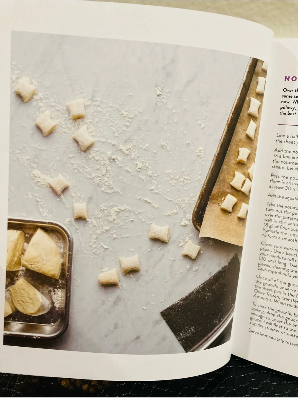 NEW The Vegan ABCs Cookbook by Lisa Dawn‎ Angerame Exciting Ingredients!